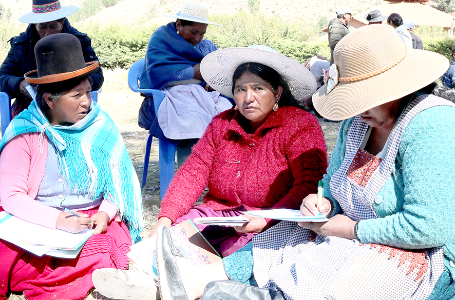 CÑ 171 encuentro Mujeres Chillavi