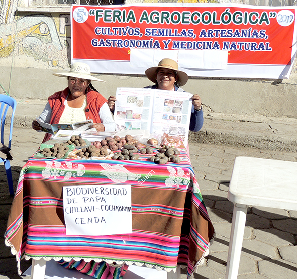 Oruro Feria semillas felicidad