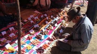 Sso semilla comunidades andinas 062011
