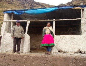 Corrales mejorados para la crianza de ovejas en la zona andina