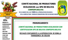 PRONUNCIAMIENTO: Rechazo CONTUNDENTE a la Introducción de Semilla TRANSGÉNICA en Bolivia