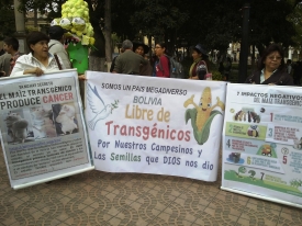Activistas se movilizan en contra de la Cumbre Agropecuaria y los Transgénicos