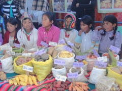 CIPCA: La ironía de la producción agroecológica en Bolivia
