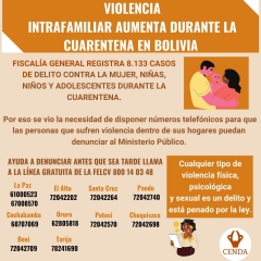 Violencia intrafamiliar aumenta durante la cuarentena en Bolivia