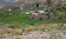 Norte Potosí: “Kay wata chaqras waliqta puqurichkan, wata muyuykunapaq jina”