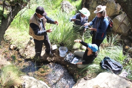 Kunturillo:  Comunidades analizando la calidad del agua de las nacientes del río Rocha para promover su protección