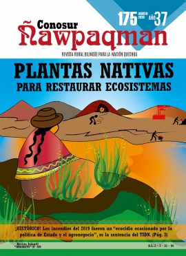 CÑ Nº 175: Plantas nativas para restaurar ecosistemas (PDF)
