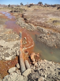 Denuncian muerte de animales por contaminación minera en Poopó
