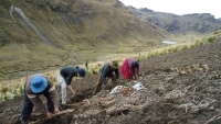 Resiliencia socio-ecológica de sistemas productivos campesinos andinos