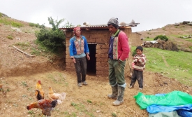 Prácticas locales de las comunidades andinas para la crianza de gallinas