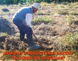 Balance Cosechas: Ciclo agrícola 2015-2016 "KAY WATAQA WISALLAPAQ PUQUN"