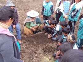 Niños y niñas participan en procesos locales de agricultura y pecuaria