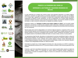 PRONUNCIAMIENTO: FRENTE A LA PANDEMIA DEL COVID-19 DEFENDER A LOS PUEBLOS Y NACIONES INDÍGENAS DE BOLIVIA