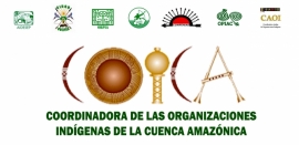COICA: Plan Organizativo Movilización Amazónica Internacional 22 septiembre 2017